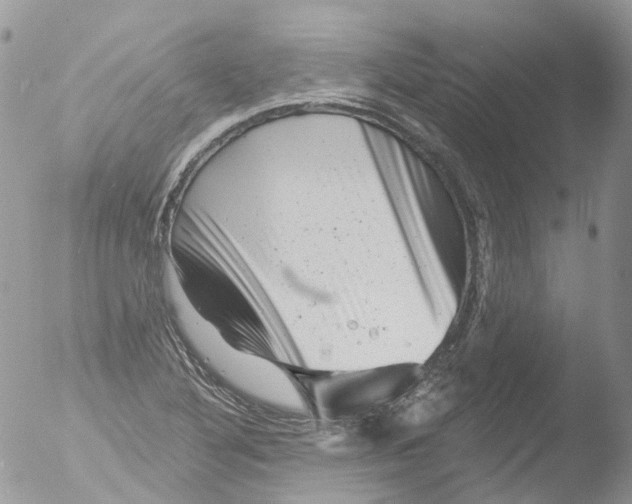 X0000051861316200507151810