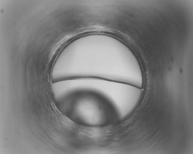 X0000051861318200507151810