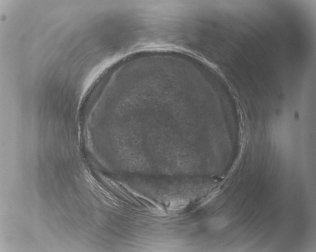 X0000051861319200507151810