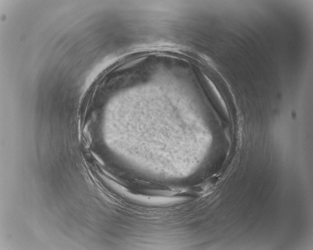 X0000051861320200507151810