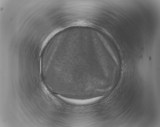 X0000051861323200507151810