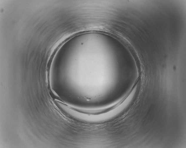 X0000051861324200507151810