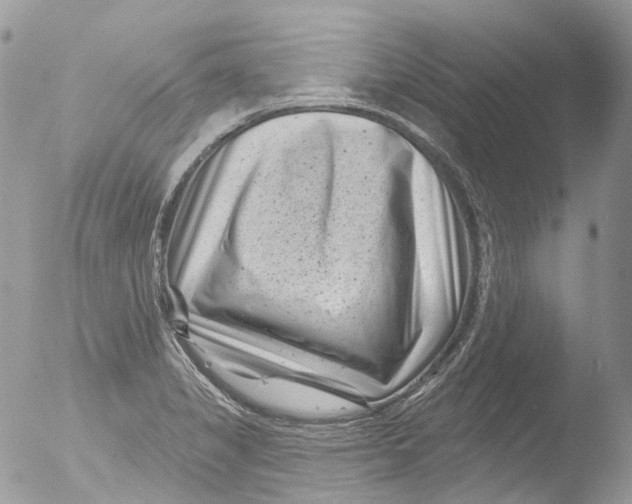 X0000051861325200507151810