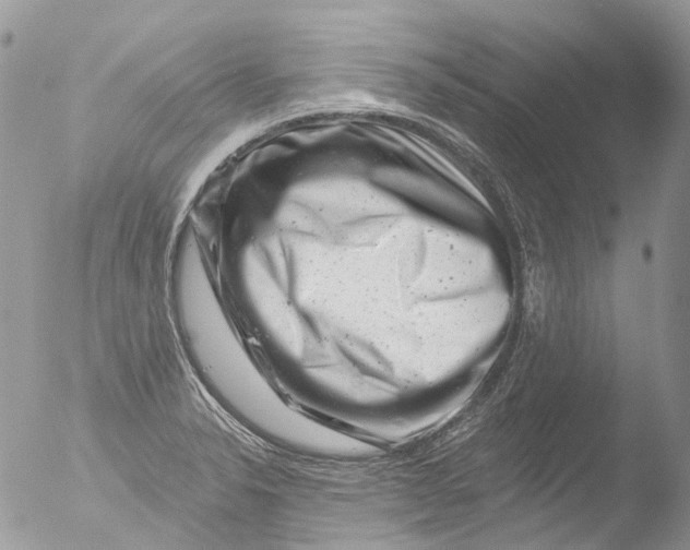 X0000051861326200507151810