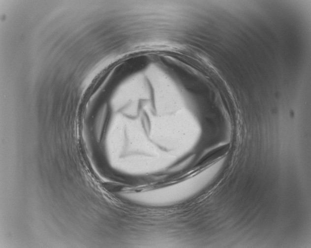 X0000051861328200507151810