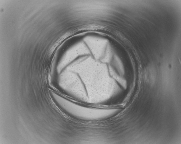 X0000051861329200507151810