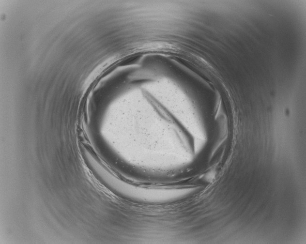 X0000051861330200507151810