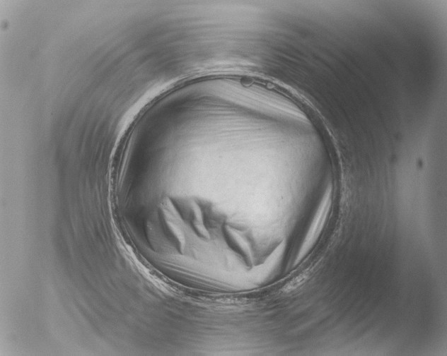 X0000051861333200507151810