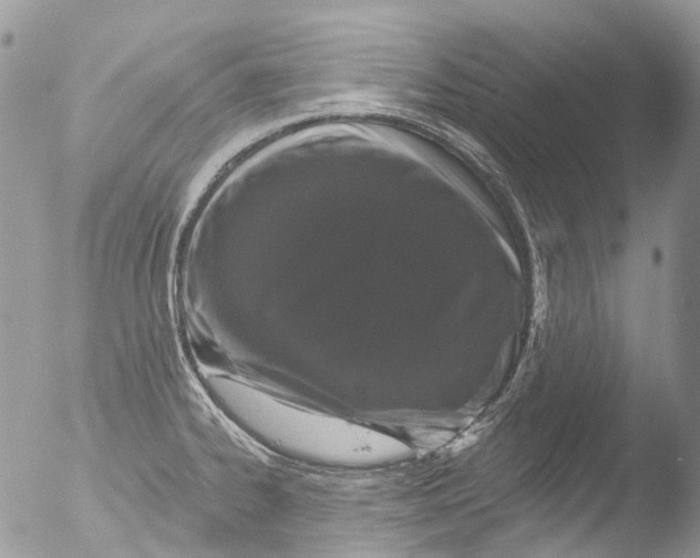 X0000051861334200507151810