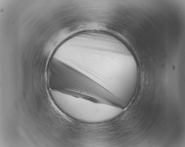 X0000051861335200507151810