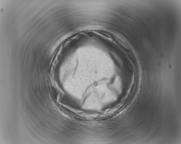 X0000051861337200507151810