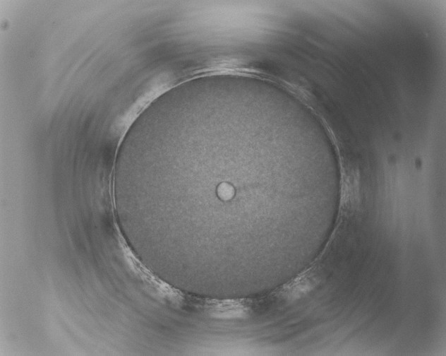 X0000051861338200507151810