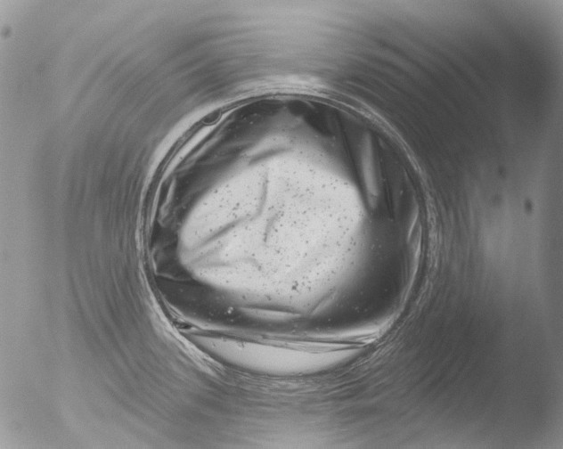 X0000051861339200507151810