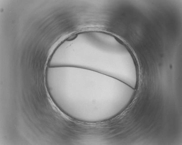 X0000051861341200507151810