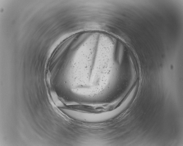 X0000051861342200507151810