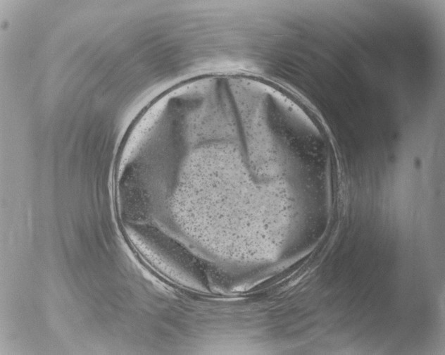 X0000051861343200507151810