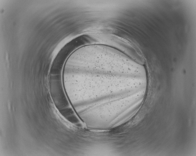 X0000051861344200507151810