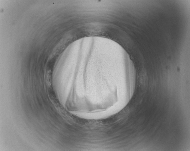 X0000051861346200507151810