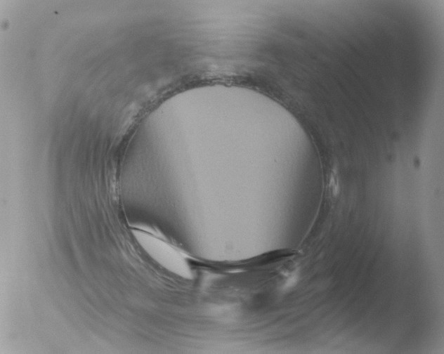 X0000051861348200507151809