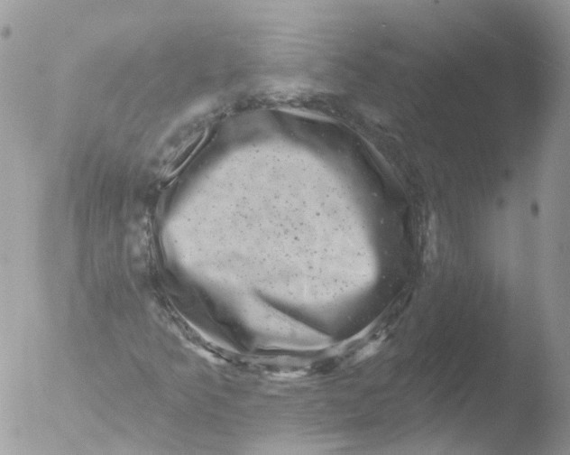 X0000051861349200507151809