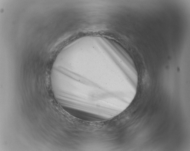 X0000051861350200507151809