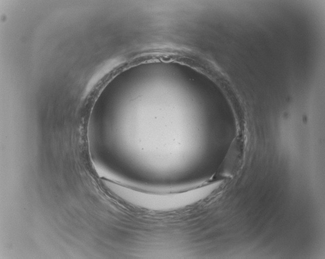 X0000051861352200507151809