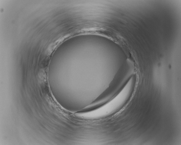 X0000051861353200507151809