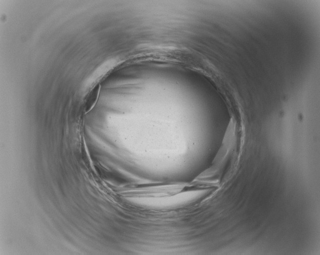 X0000051861354200507151809