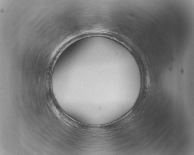 X0000051861356200507151809