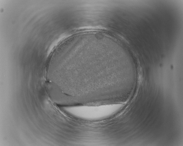 X0000051861357200507151809