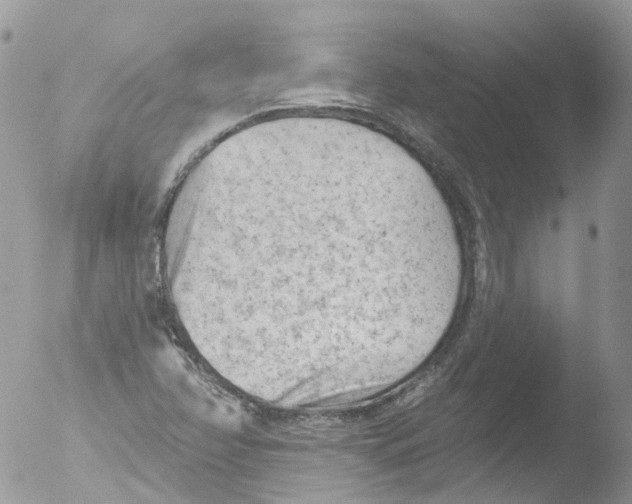 X0000051861358200507151809