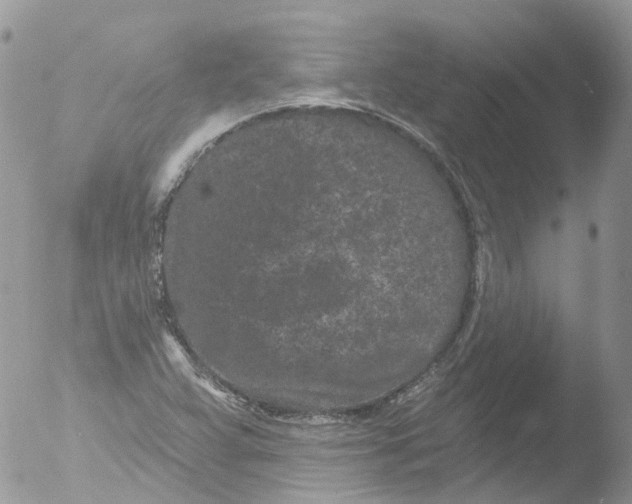 X0000051861359200507151809