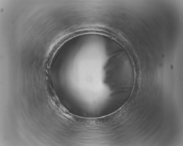 X0000051861360200507151809