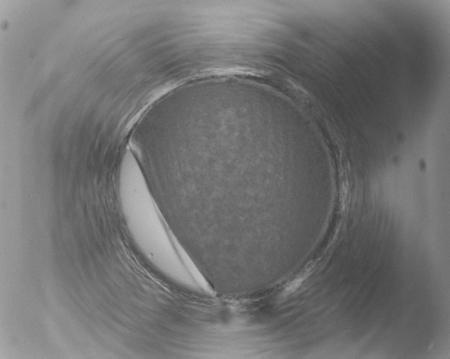 X0000051861361200507151809