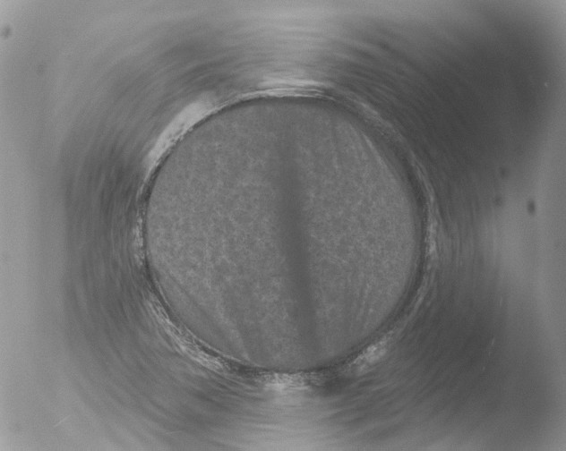 X0000051861362200507151809