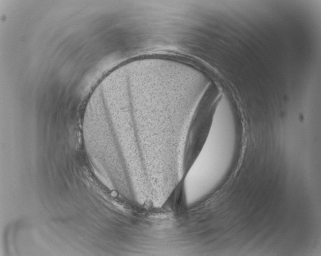 X0000051861363200507151809