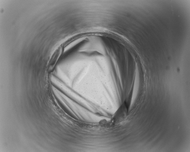 X0000051861364200507151809