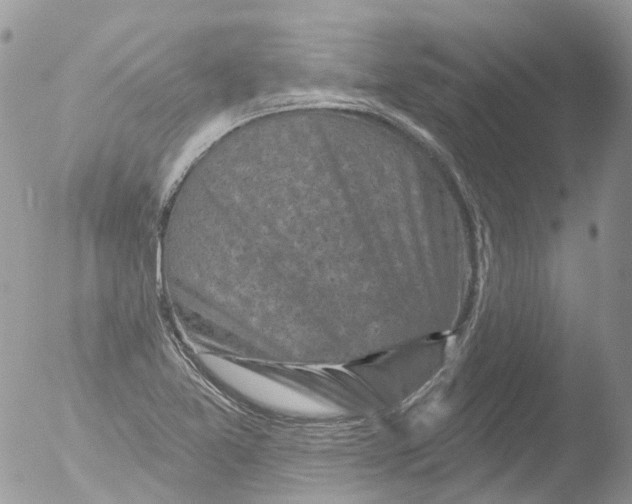 X0000051861365200507151809