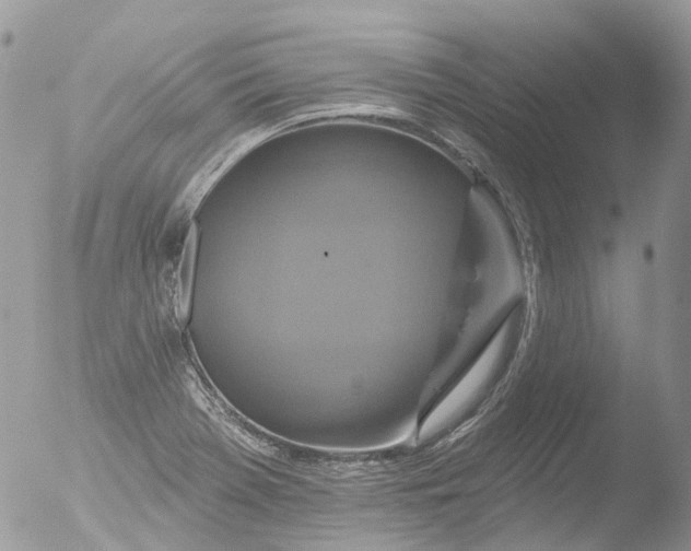 X0000051861369200507151809