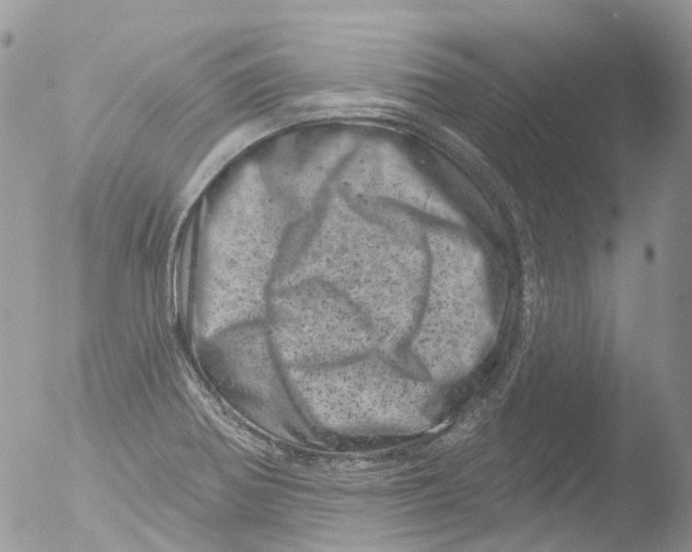 X0000051861370200507151809