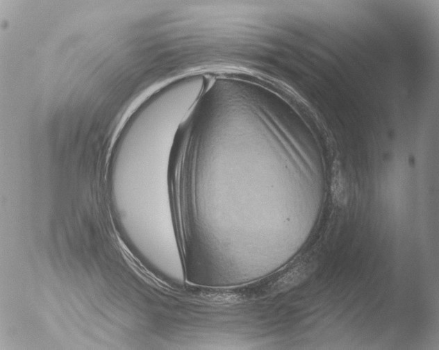 X0000051861372200507151809