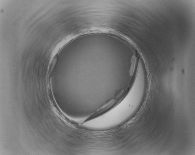 X0000051861373200507151809