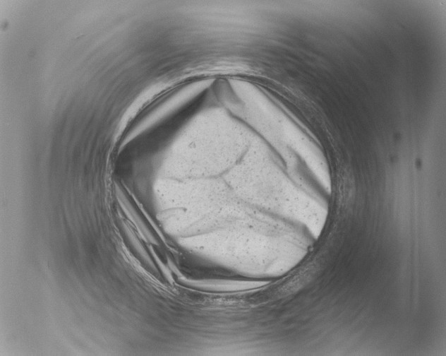 X0000051861374200507151809