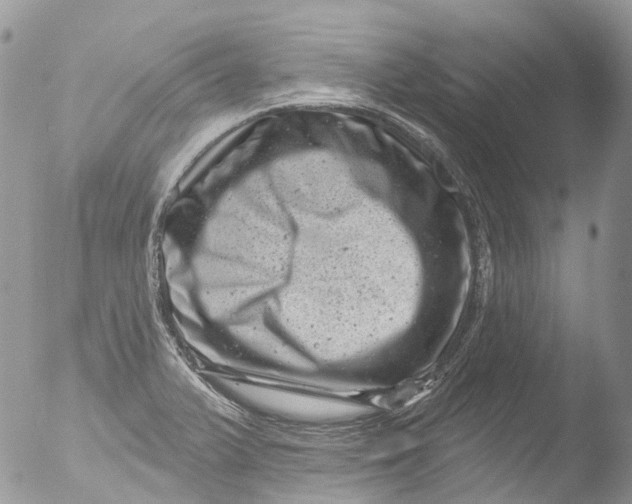 X0000051861375200507151809