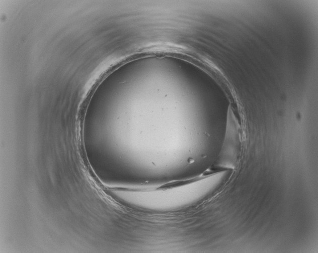 X0000051861376200507151809