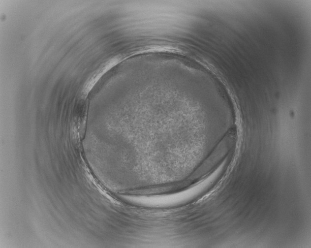 X0000051861377200507151809