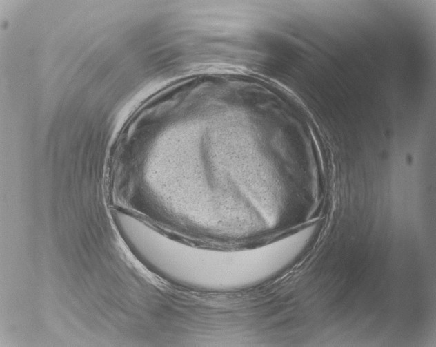 X0000051861379200507151809