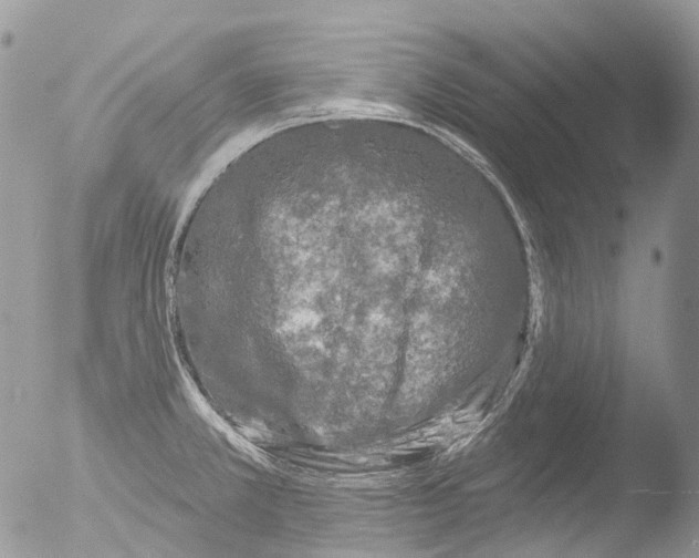 X0000051861381200507151809