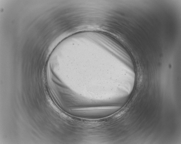 X0000051861382200507151809