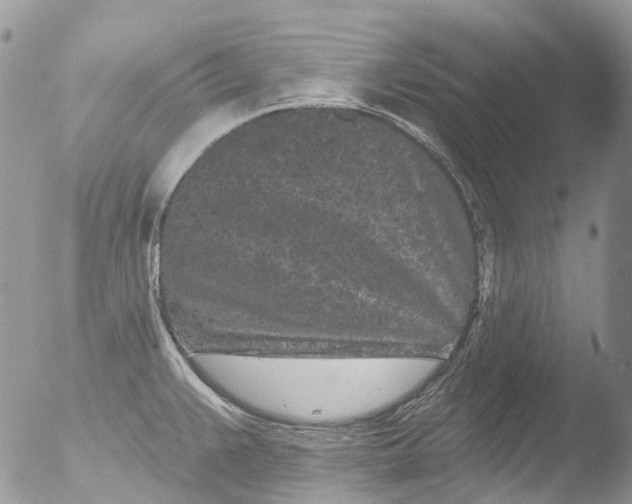 X0000051861383200507151809